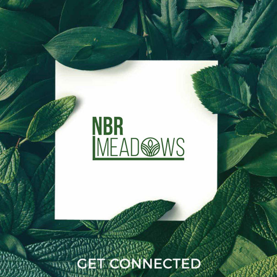 nbr-meadows